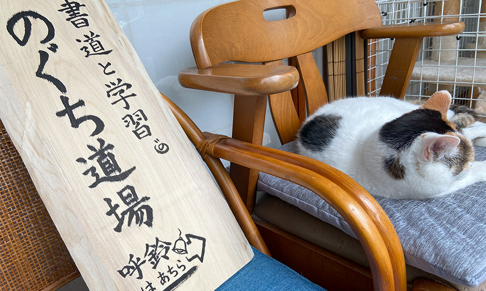 イメージ画像