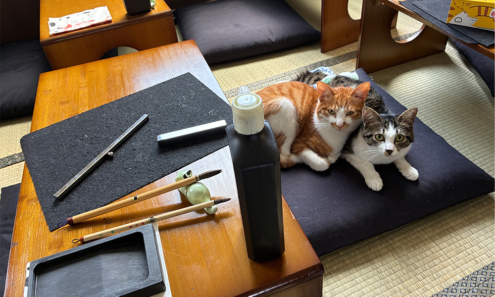 イメージ画像