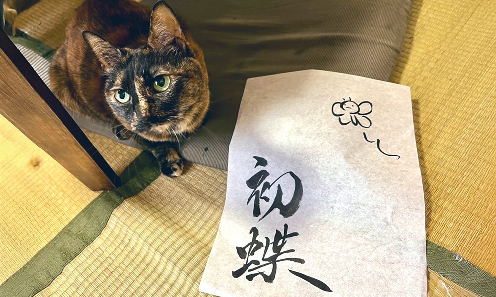 イメージ画像