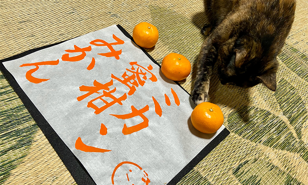 イメージ画像