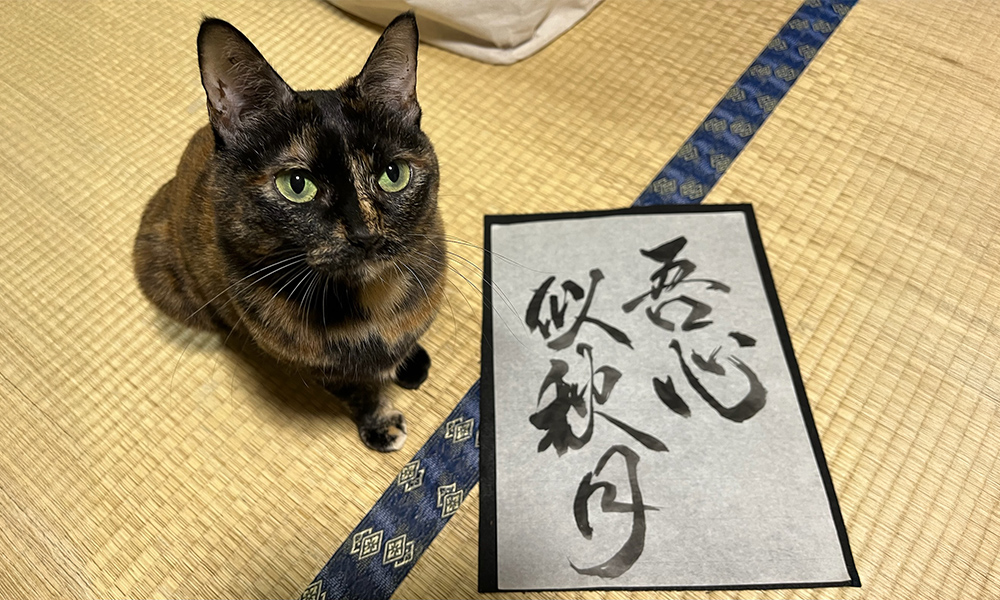 イメージ画像