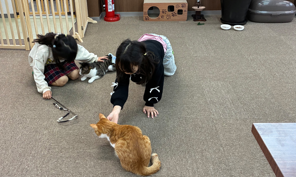 イメージ画像