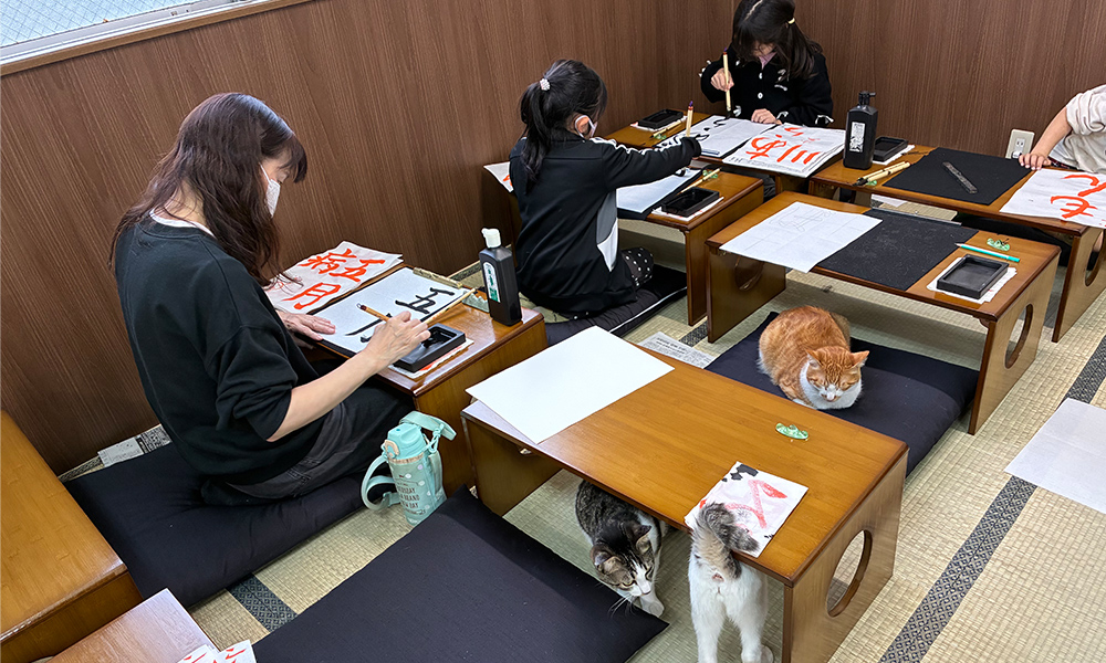 イメージ画像
