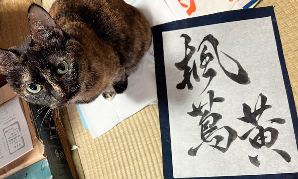 イメージ画像